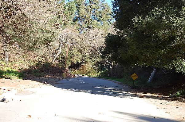 DSC 0042