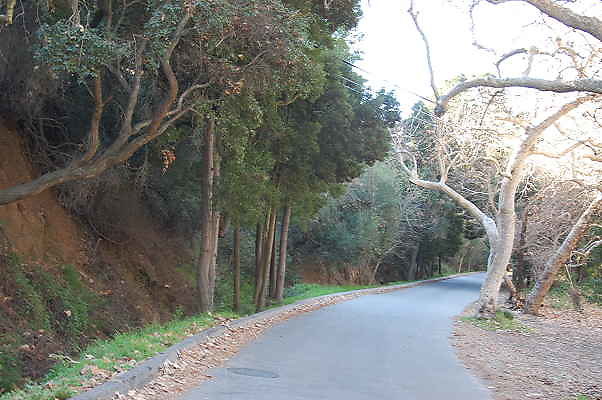 DSC 0005