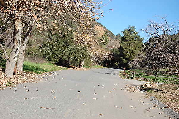 DSC 0033