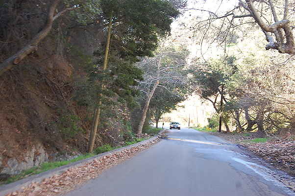 DSC 0010