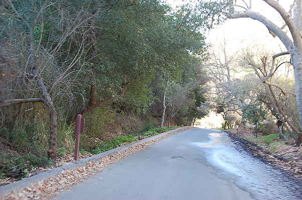 DSC 0009