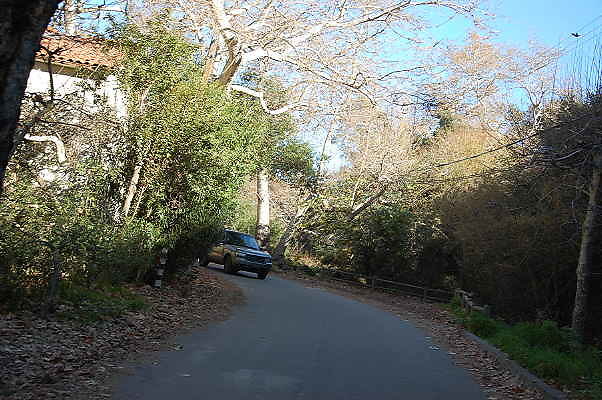 DSC 0052