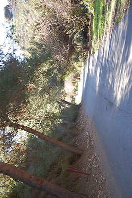 DSC 0024