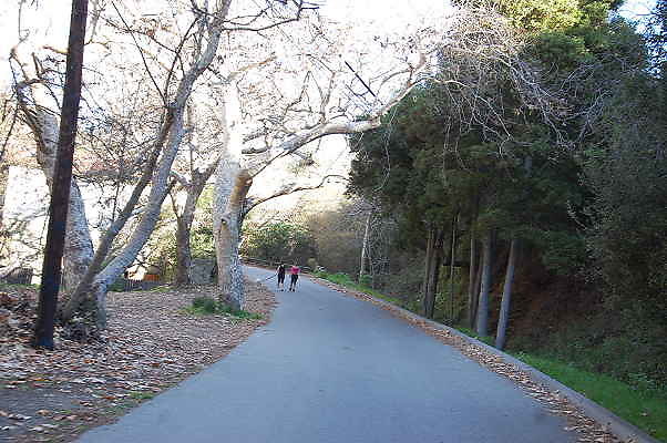 DSC 0051