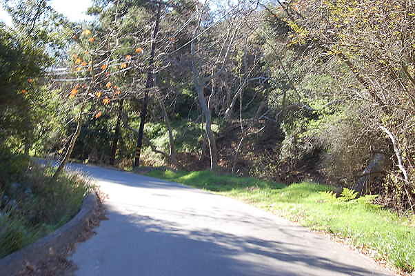 DSC 0012