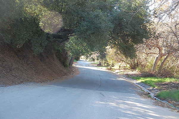 DSC 0019