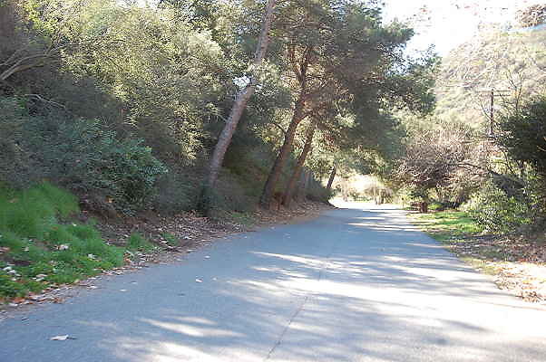 DSC 0023