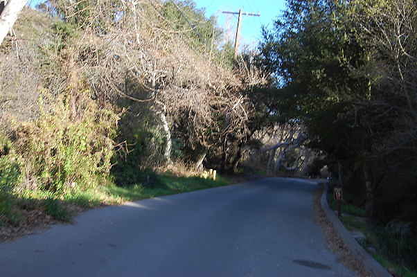DSC 0047