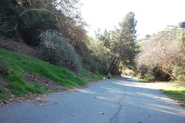 DSC 0022