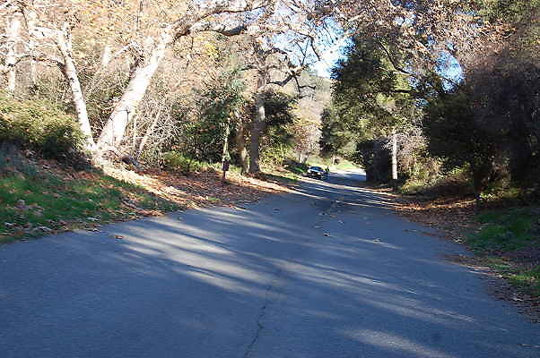 DSC 0038