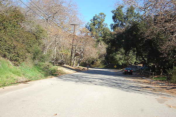 DSC 0041