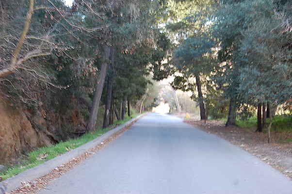 DSC 0007
