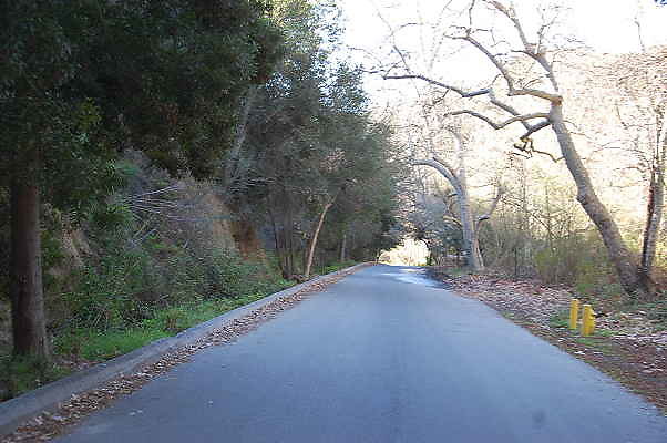 DSC 0008