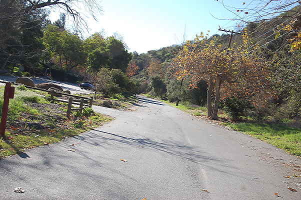 DSC 0027