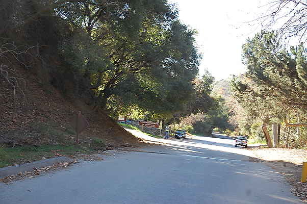 DSC 0015