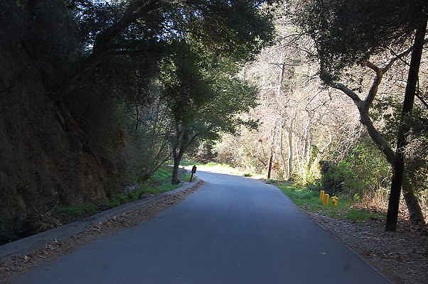DSC 0011