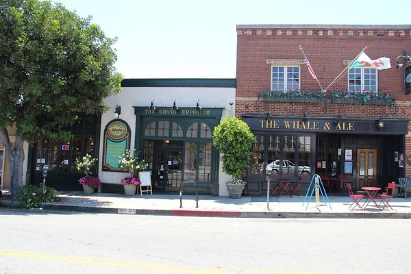 The Whale and Ale 5