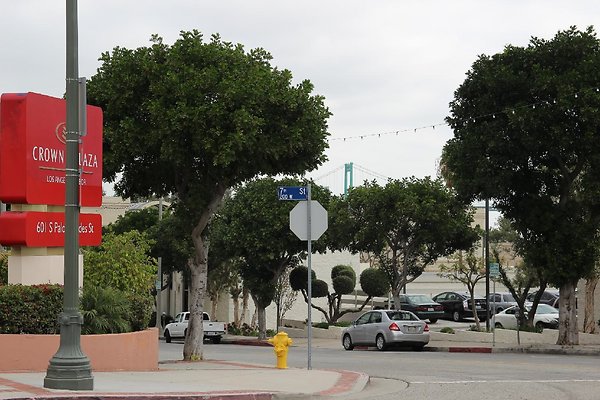 Strts-7th-Palos Verdes-038