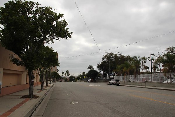 Strts-7th-Palos Verdes-029