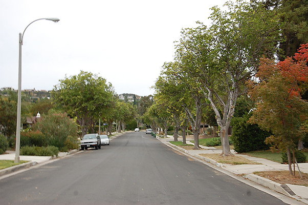 DSC 0238