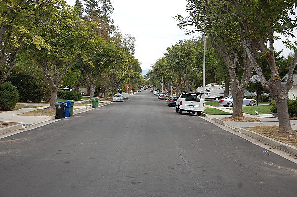 DSC 0199