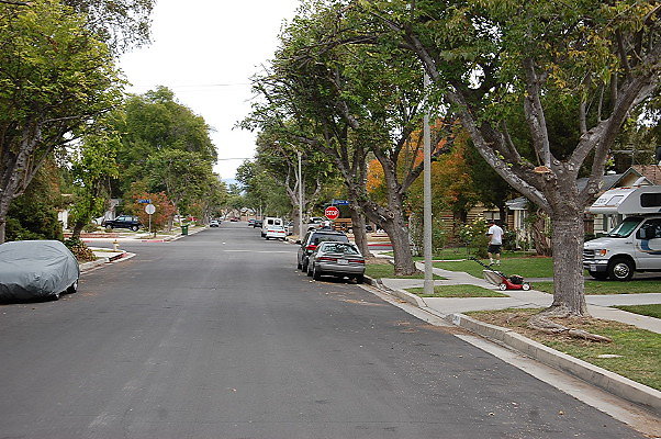 DSC 0201