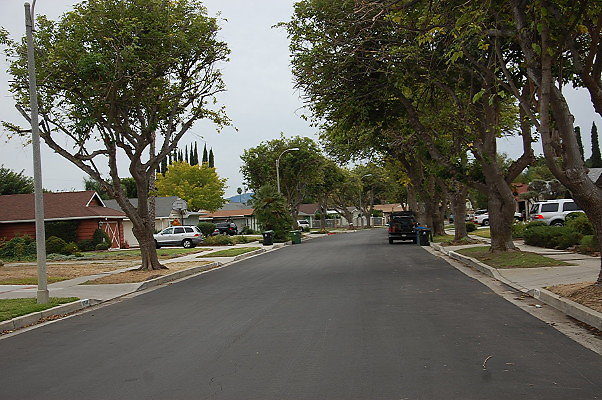 DSC 0218