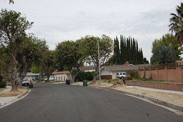 DSC 0211