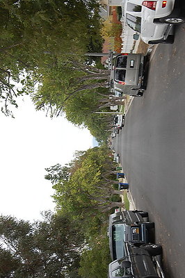 DSC 0198