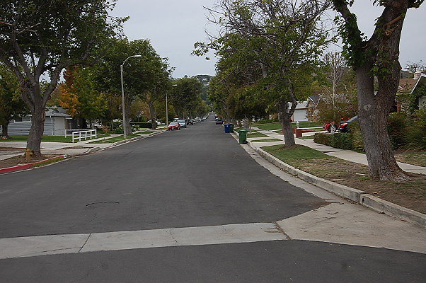 DSC 0223