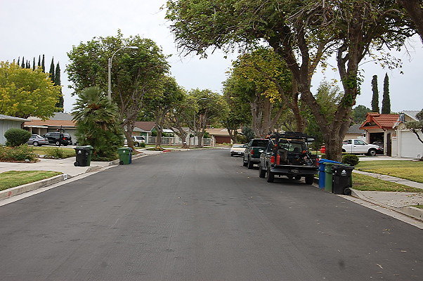 DSC 0219