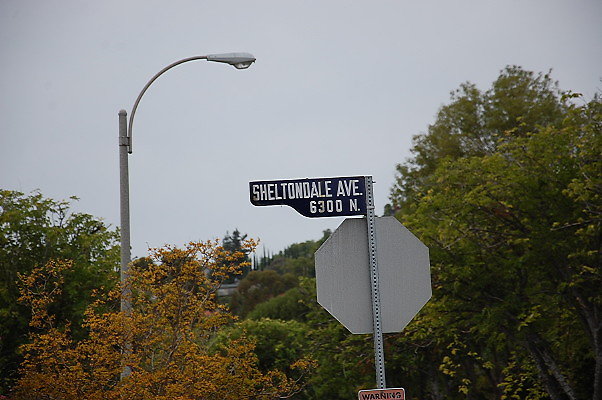 DSC 0195