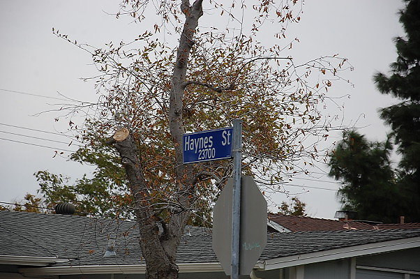 DSC 0217
