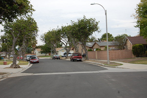 DSC 0209