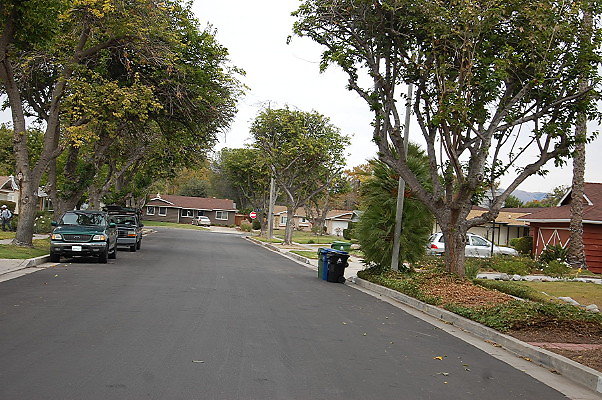 DSC 0214