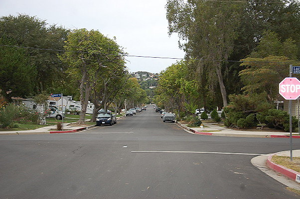 DSC 0229