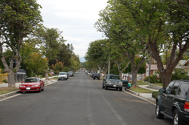 DSC 0196
