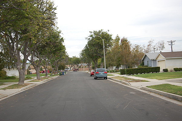 DSC 0206