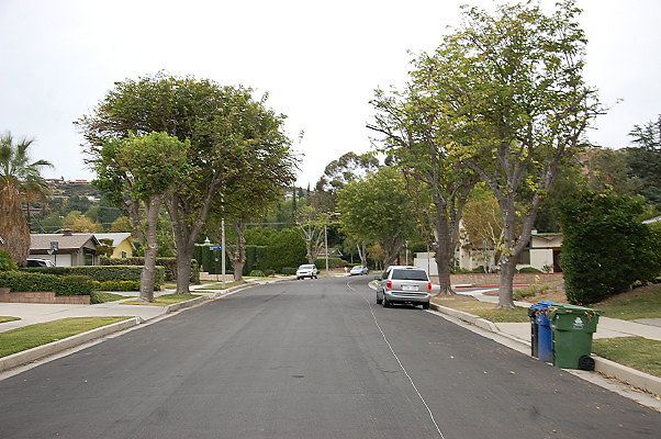 DSC 0241