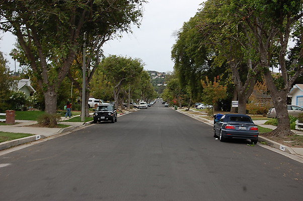 DSC 0226