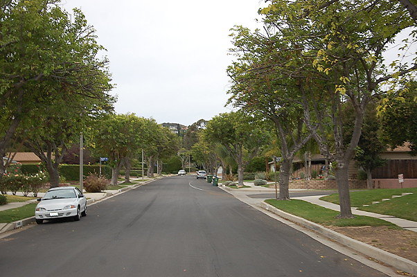 DSC 0239