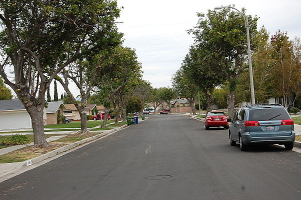 DSC 0207