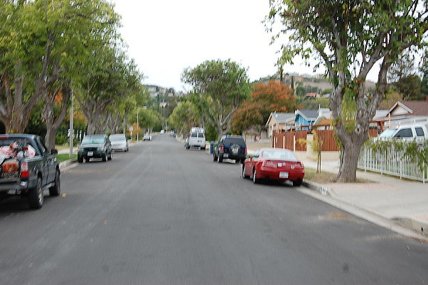 DSC 0235