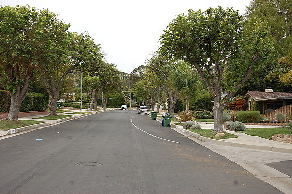 DSC 0240