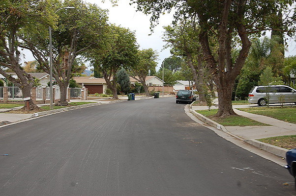 DSC 0220