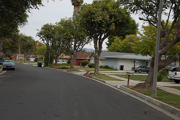 DSC 0213