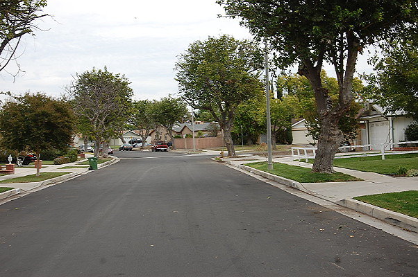 DSC 0208