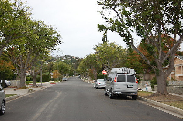 DSC 0236