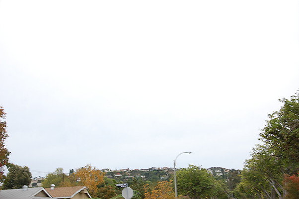 DSC 0237