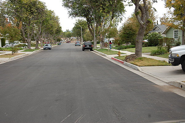 DSC 0205